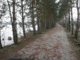  Wanderweg entlang des groen Viehofner Sees 