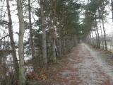  Wanderweg entlang des groen Viehofner Sees 