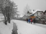  Wanderweg entlang des Triesenegger Bachs  