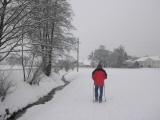  Wanderweg entlang des Triesenegger Bachs  