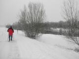  Wanderweg kurz entlang der Ybbs 