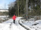  Winterlicher Wanderweg in den Kirchenwald 