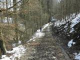  Wanderweg entlang des Kirchenwaldbaches 