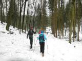 schner (Winter?) Waldweg 