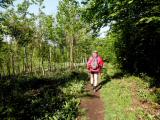  schner Waldweg 