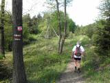  schne Waldwege ber den Reutlsberg 