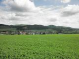  Fernblick nach Dornbach 