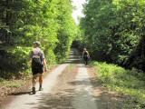  Wanderroute auf schnen Waldwegen 