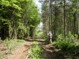  Wanderweg nach Sittendorf 