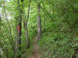  Wanderweg entlang des Steinbruchs 