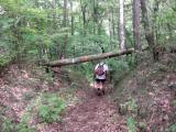  Wanderweg bergab in den Eschenbrunnergraben 