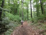  Wanderweg bergab in den Eschenbrunnergraben 