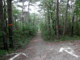  Wanderweg bergab nach Mdling 