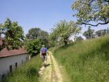  Wanderweg in Sichelbach 