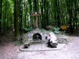  Gedenkstelle "Maria im Walde" auf dem Kronberg 