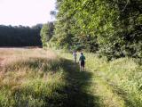  Wanderroute am Waldesrand 