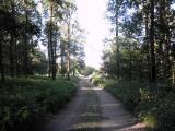  Wanderroute zur Waldkapelle 