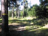 Wanderweg durch den Wald des oberen Moldner-Berg 