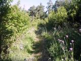  Natur pur 