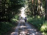  Wanderweg Richtung Breiteneich 