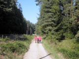  Wanderweg entlang der Waldviertler-Museum-Bahn 