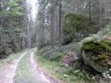 Wanderroute auf einer Forststrae mit imposanten Granitformationen 
