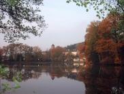  Blick ber den See zum Schloss Litschau 