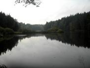  schner Blick auf den Herrensee 