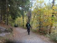  Wanderroute entlang des Herrensee 