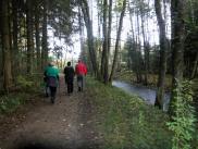  Wanderweg entlang des Reibachs 