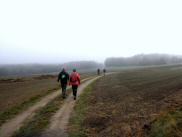  Marathonis auf der Route zur SK-Illmanns 