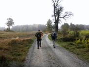  Marathonis auf dem Weg nach Schandachen 