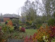  schner Garten mit den Farben des Herbst 