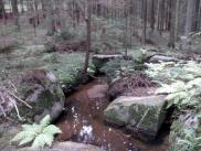  Blick auf den Fhrenbach mit seinen Blocksteinen 