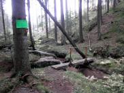  Wanderweg entlang des Fhrenbachs im Hllgraben 