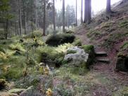  Wanderweg entlang des Fhrenbachs im Hllgraben 