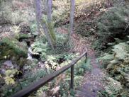  Wanderweg entlang des Fhrenbachs im Hllgraben 