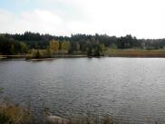  schner idyllischer Teich 