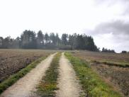  Wanderweg auf dem Gopprechtsberg 