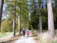  Wanderroute ber die schne Allee von Galthof 