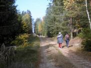  Wanderroute auf schnen Waldwegen 