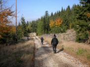  Wanderroute auf schnen Waldwegen 