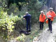  Marathonis bei der SK - Stonabrckl 