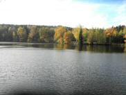  schner Blick auf den Herrensee 