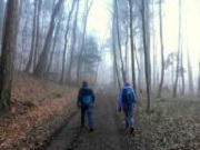  leicht bergan auf schnen Waldwegen 