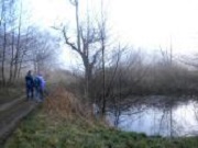  kleiner Weiher auf der Anhhe 