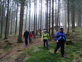  Wanderrute durch einen kleinen Wald 