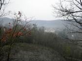  Fernblick vom Schafberg zum Schloss Buchberg 