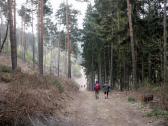  Wanderweg bergab in den Hllgraben 