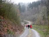  Wanderroute auf schnen Forstwegen 